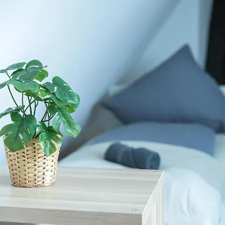 Fullhouse - Halle - R17 - 111sqm Loft - 8 Beds For 10 Guests Apartment