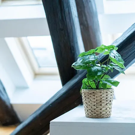 Fullhouse - Halle - R17 - 111sqm Loft - 8 Beds For 10 Guests *