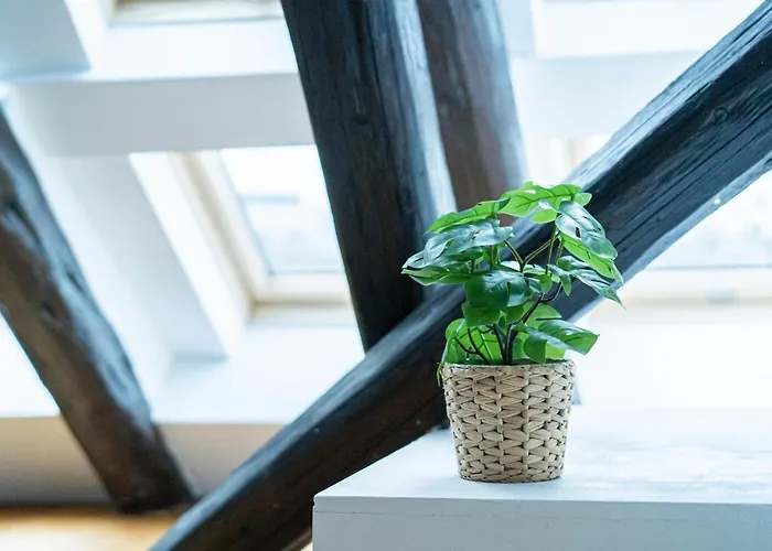 Fullhouse - Halle - R17 - 111sqm Loft - 8 Beds For 10 Guests *